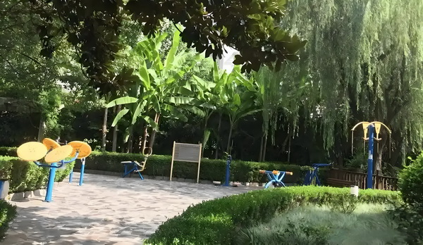 应届毕业生深圳入户的截止日期_2025上海城市形象片焕新发布：上海新一刻，城市因你更美好 海城市形象一人不落